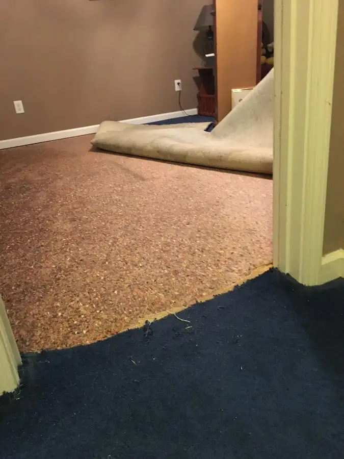 Carpet pad removal revealing water damage during Water Mitigation Services in Floyds Knobs