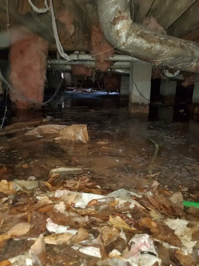 Crawl space flood assessment for Commercial Water Damage Restoration in Floyds Knobs