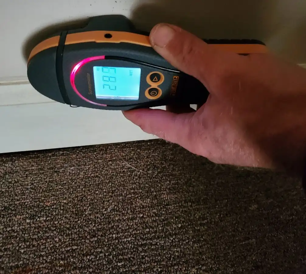 Moisture detection at baseboard during Sewage Cleanup & Sanitation in Floyds Knobs